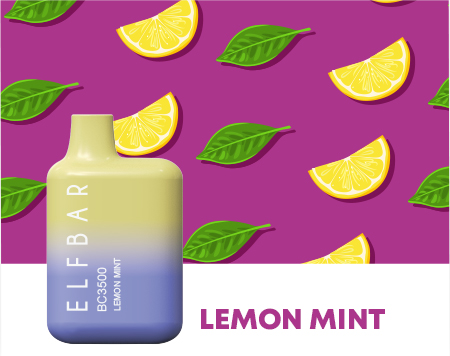 ELFBAR BC3000 Lem Mint